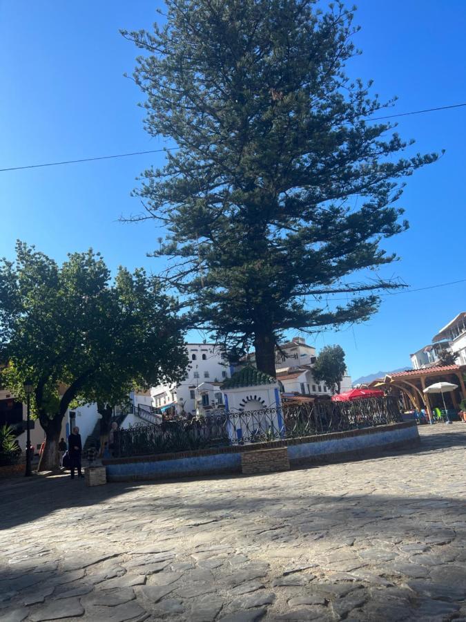 Perla Azul Chefchaouen Exterior foto